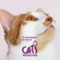 A ginger-and-white cat on a pink background. Text says 'Fundraising in aid of Cats Protection'