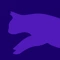 ED 25 429 Website Vet Guides 600X600 11