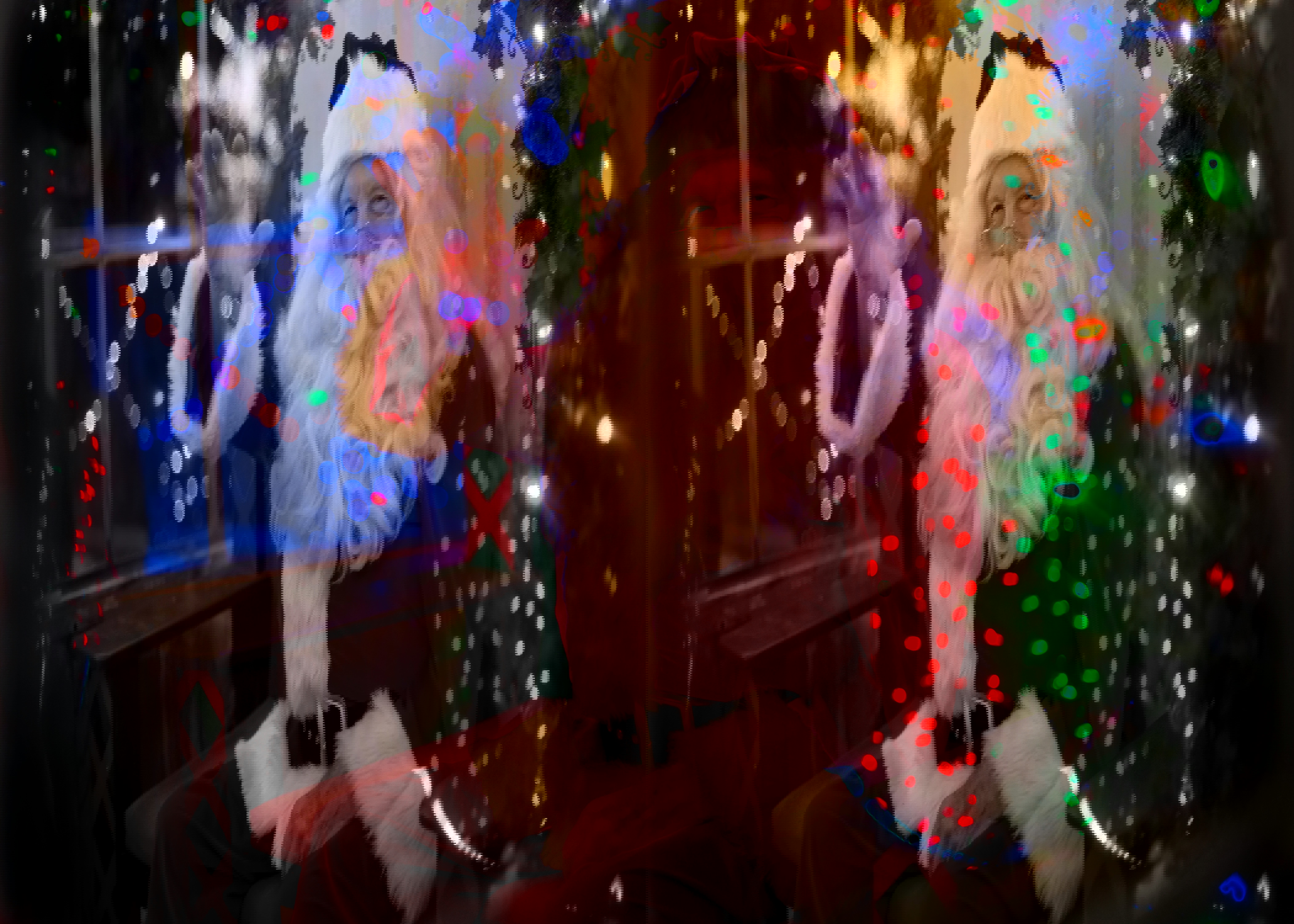 Glasgow Cat Centre’s Santa’s Grotto