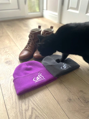 BWR 'Fundraise For CP' Webpage Tile Image