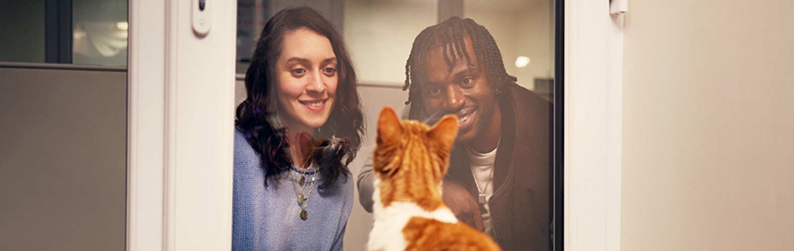 Welcome to our Cheltenham & Tewkesbury Cats Protection branch