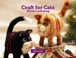 Craft for Cats
