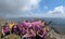 Snowdon (Yr Wyddfa) Trek