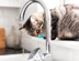 A tabby cat watching a running tap