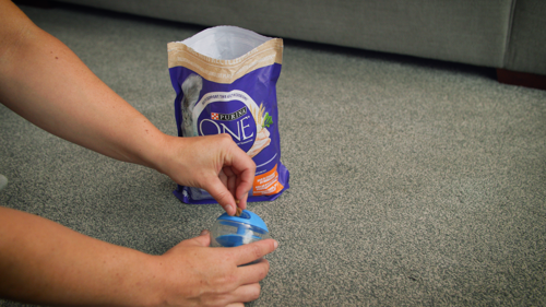 human hands putting cat biscuits into a blue feeding ball with an open packet of Purina cat food in the background