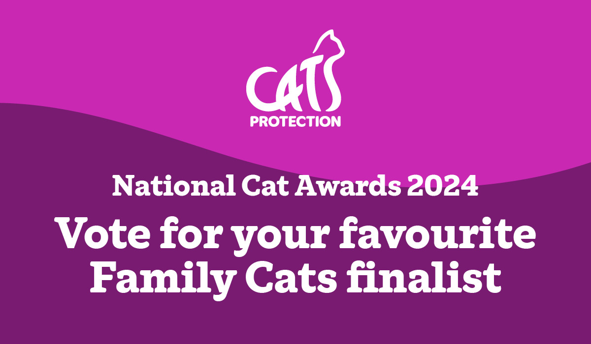 NCAs Family Cats finalists Cats Protection