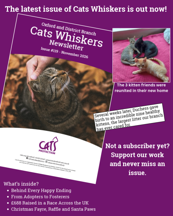 The latest issue of Cats Whiskers