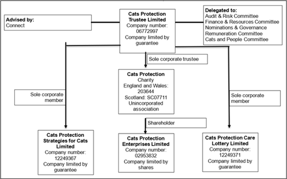 About Structure, Governance and Management | Cats Protection