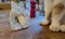 Craft for Cats - Mosaic