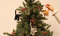 Craft for Cats - Winter event