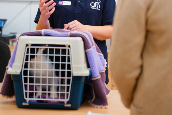 What type of carrier is best for my cat?