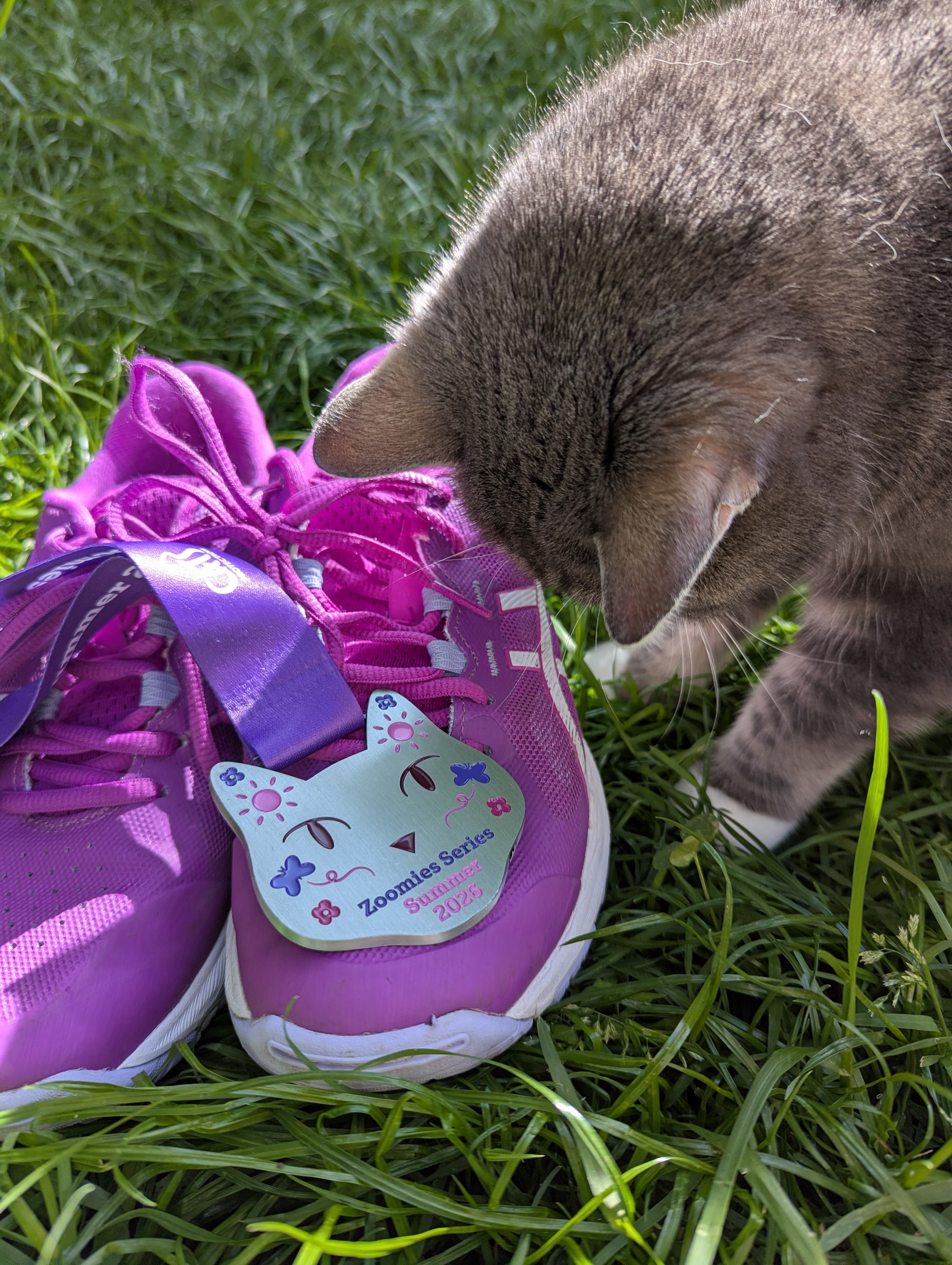 Zoomies Series | Virtual Run Challenge | Cats Protection