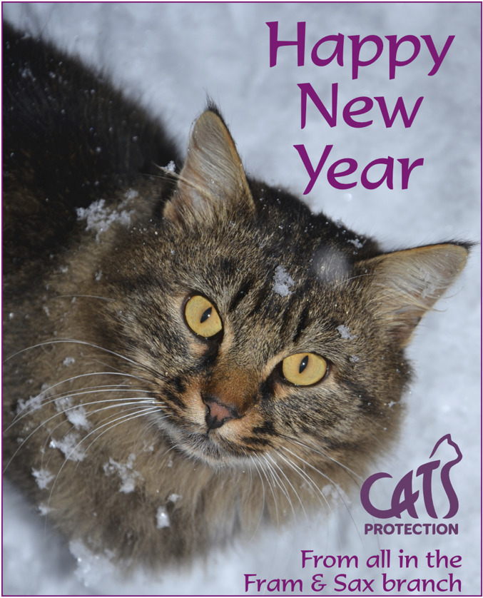 Cats Protection Framlingham & Saxmundham