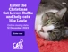 Christmas Cat Lovers Raffle 