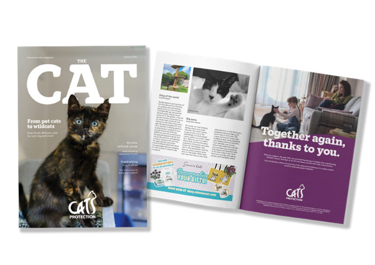 Become A Member Support Us By Joining Cats Protection become-a-member-support-us-by-joining-cats-protection