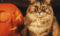 Cake, Cats, Cauldrons and Psychics Day