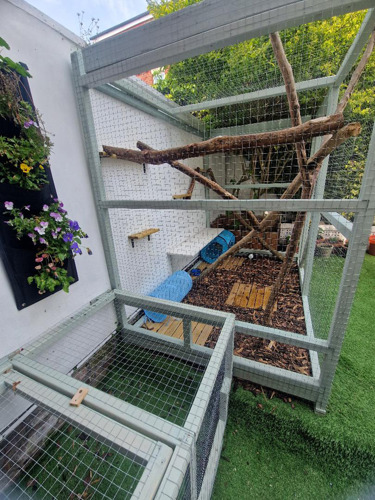 A side view of a catio enclosure attached to the back of a house. It's made from a blue-painted wooden frame and wire mesh. Inside there are shelves, wooden logs, a cat shelter and a play tunnel. The floor is covered with wood chips and some squares of decking. The catio can be accessed via a cat flap on the side of the house