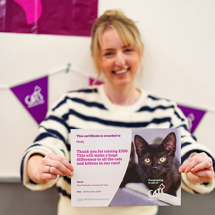 Fundraising Tips and Resources | Cats Protection
