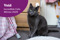 Incredible Cats finalists