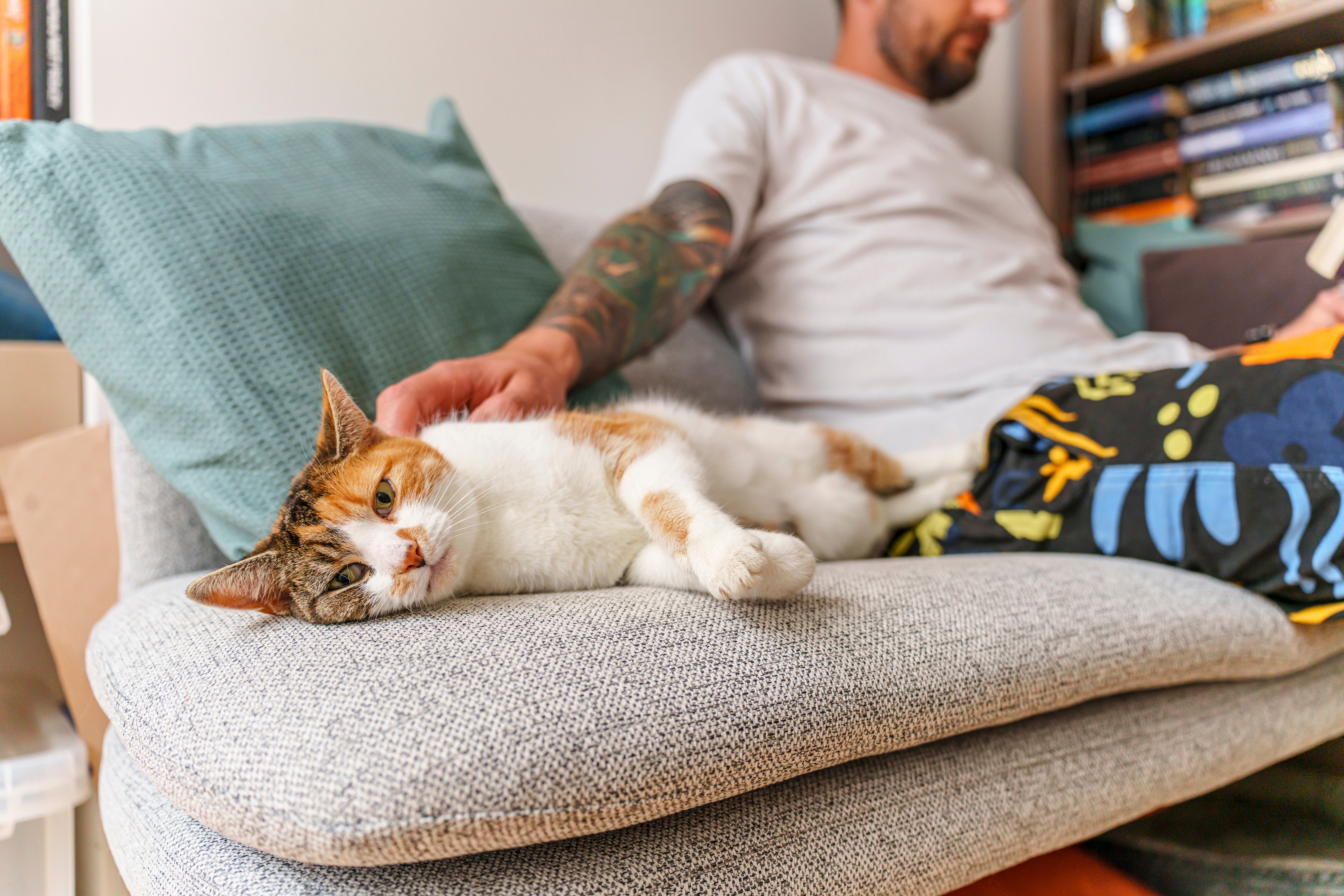Renters Reform Bill needs to end the ‘pet privilege’ which bans renters from owning animals