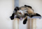 Brown tabby cat lying on their back on a grey cat tower with their paws in the air