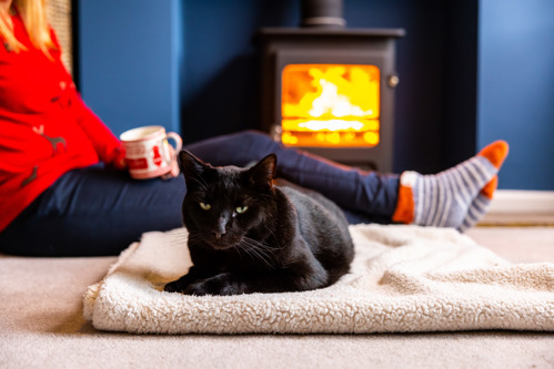 black cat sat on cream-coloured fleece blanket in front of lit fireplace with person sat on the floor behind them