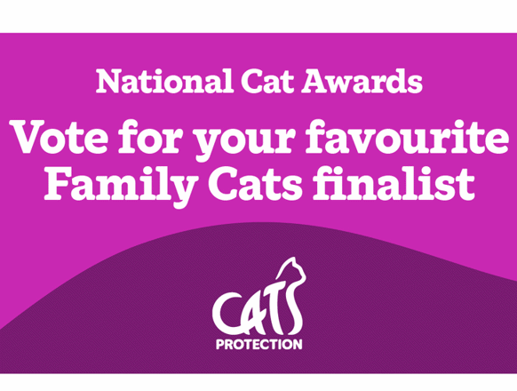 National Cat Awards 2025 | Events | Cats Protection