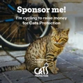 brown tabby cat sat in front of a bike with text saying 'Sponsor me! I'm cycling to raise money for Cats Protection. Fundraising in aid of' and the Cats Protection logo