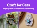 Craft for Cats