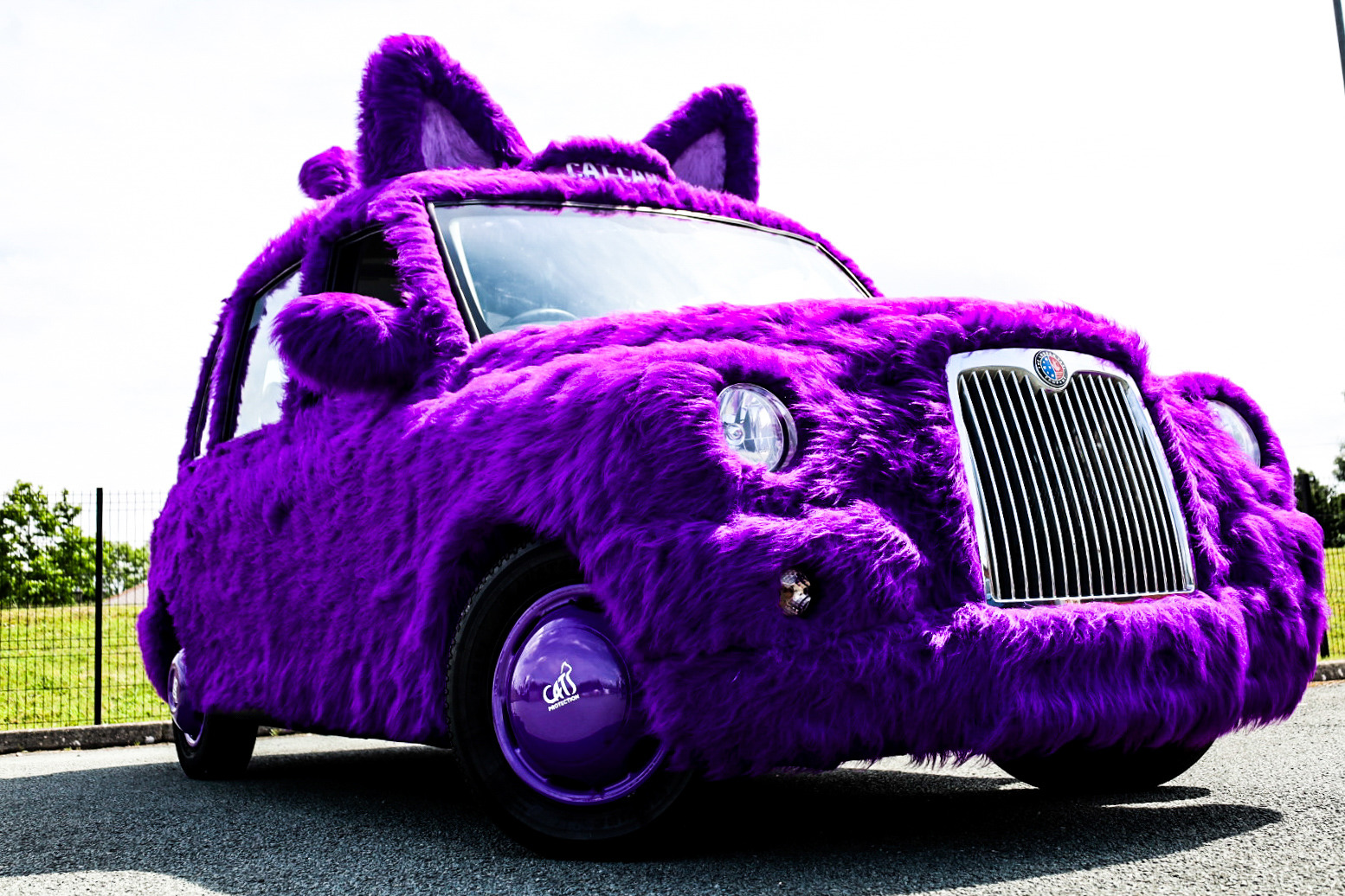Cats Protection ‘Cat Cab’ set to tour the UK ahead of National Cat Awards
