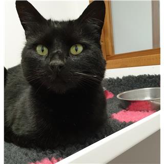 Page 2843 Cayman Compass