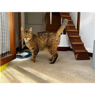 Christmas Lost And Found 2022 Lost And Found