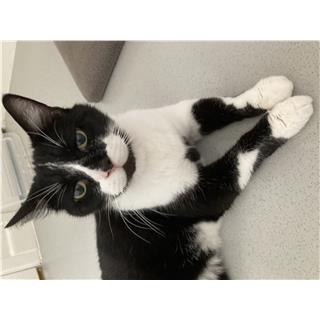 Tom