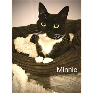 Minnie