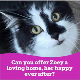 Zoey