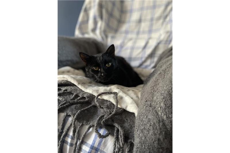 Myrtle