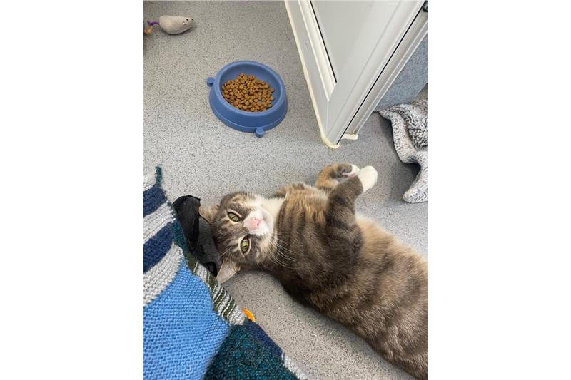 Maisie-Mae