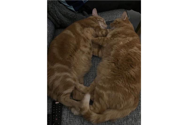 Nacho and Hunter