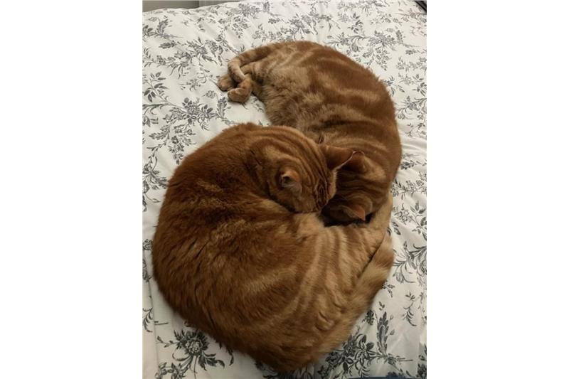 Hunter and Nacho