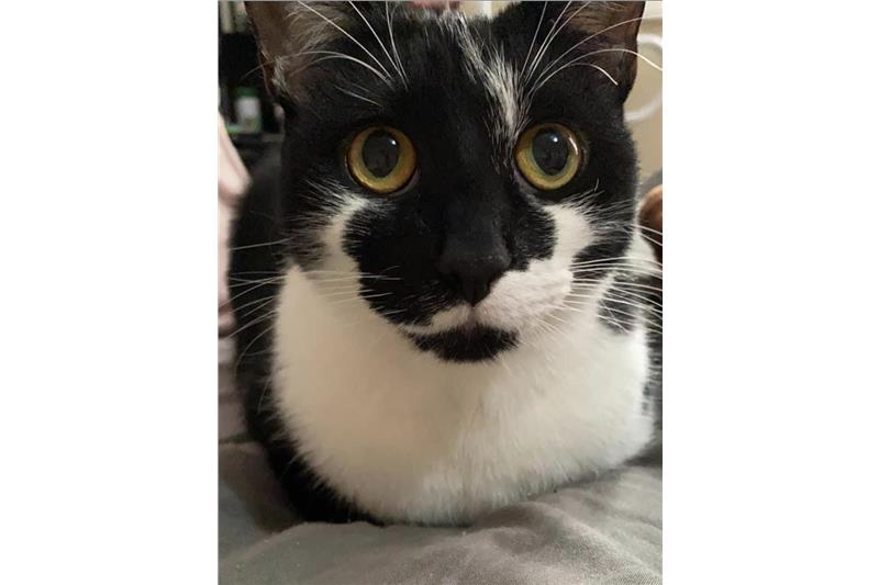Penny