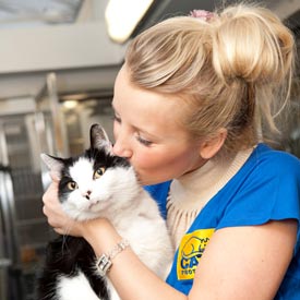 Carley Stenson Cats Protection