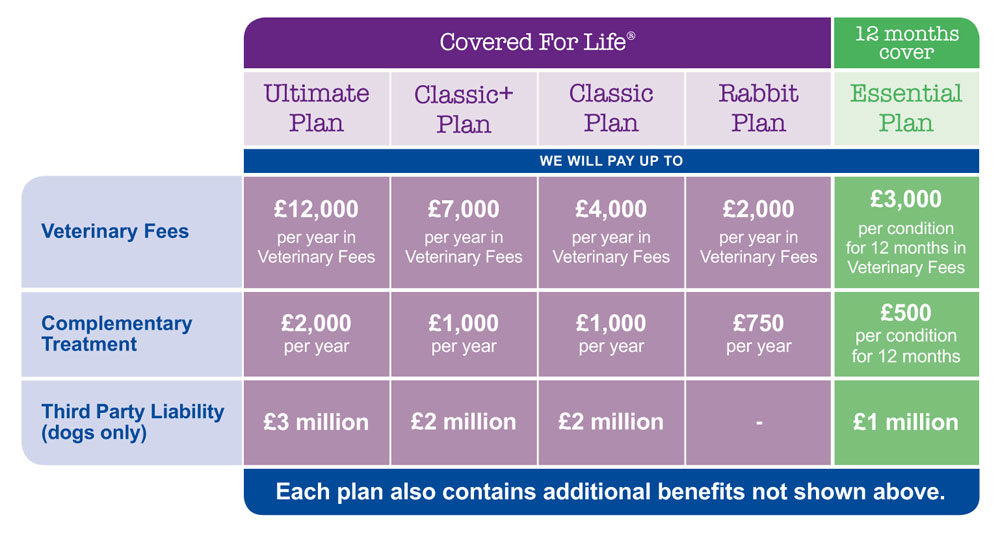 Petplan table