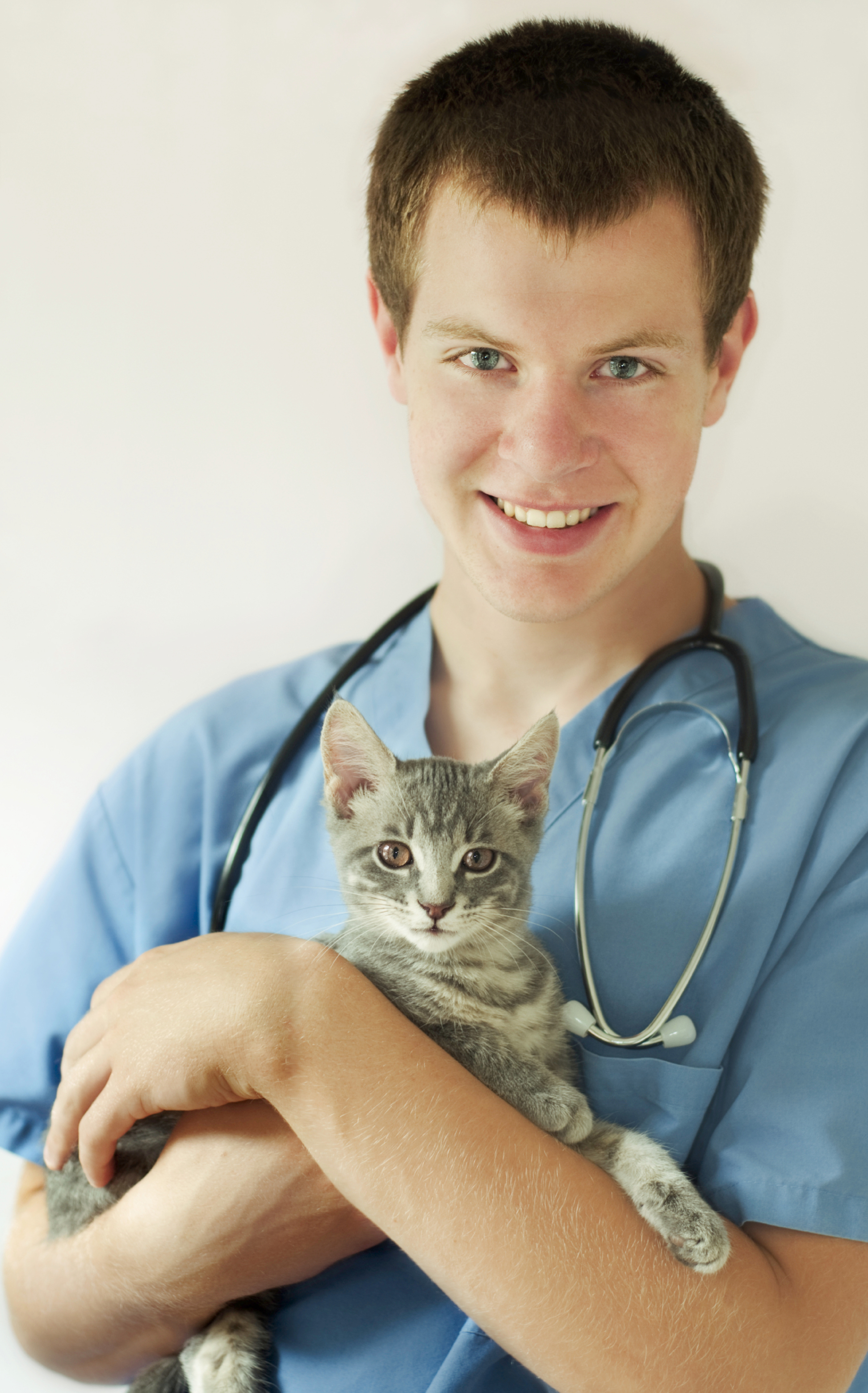 Cats Protection Cat care Cat care FAQs