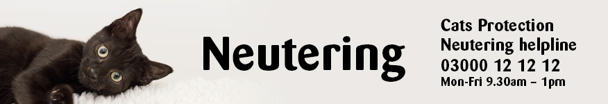 Neutering Info