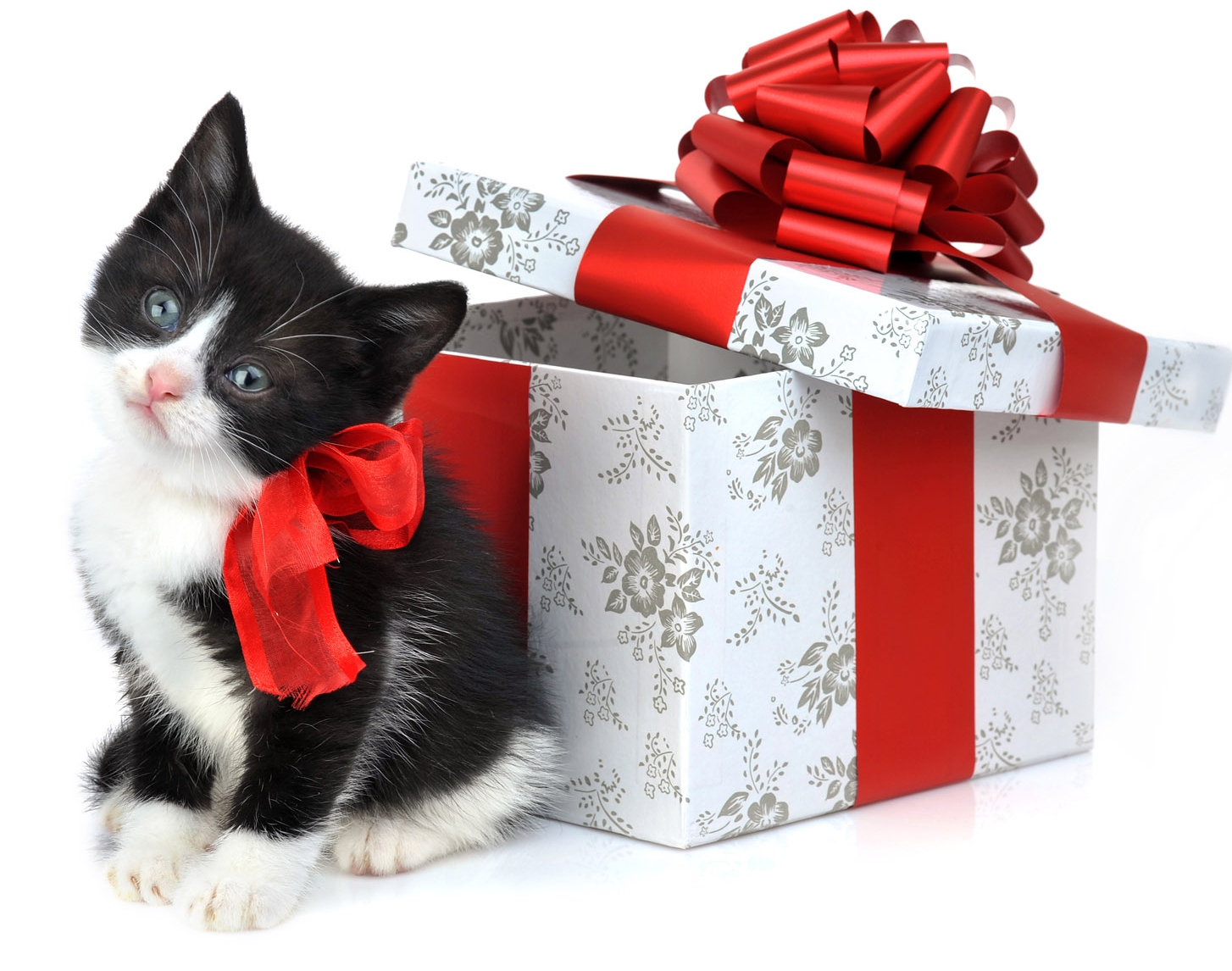 Gift Donation