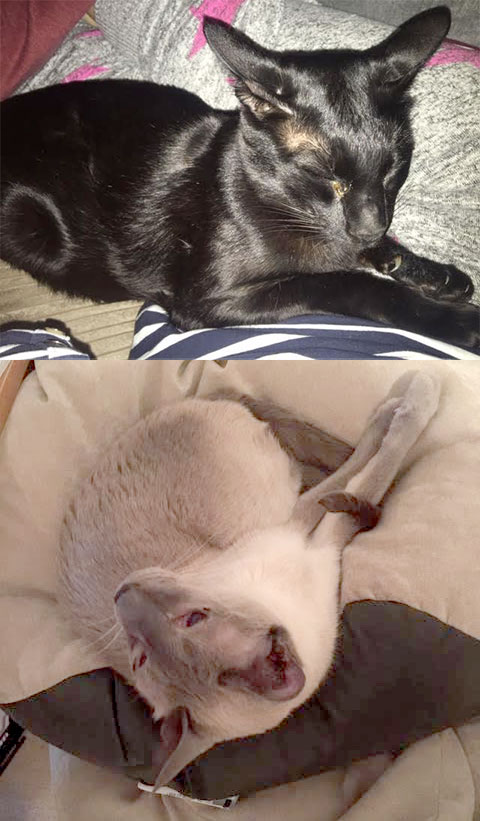 Dizzee and Jasper