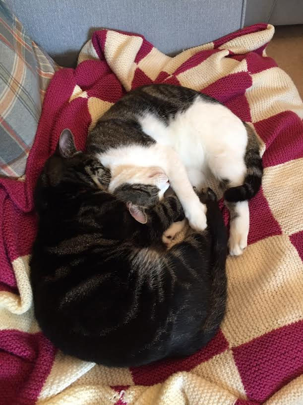 Hester and Chester