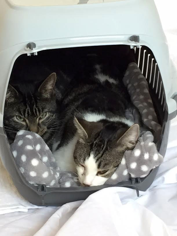 Hester and Chester