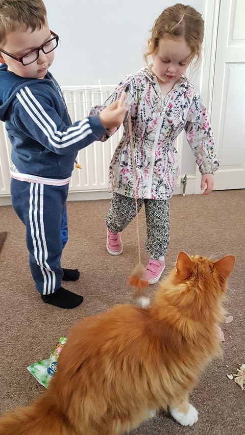 tango