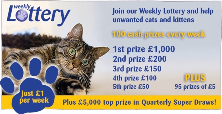 Cats Protection Maidenhead Address Cats Protection Maidenhead Address